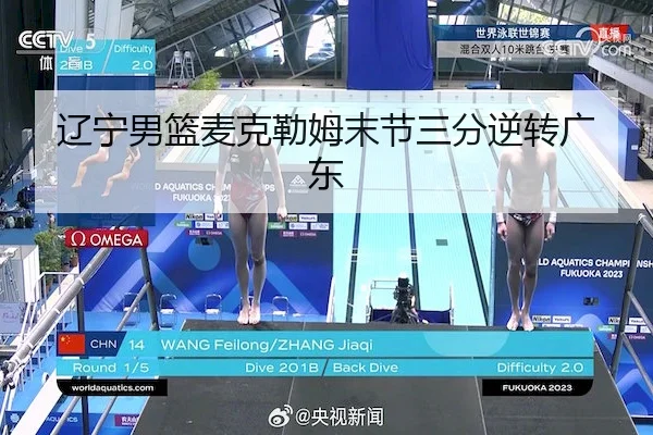 辽宁男篮麦克勒姆末节三分逆转广东